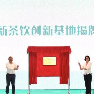廣東加快茶產(chǎn)業(yè)轉(zhuǎn)型升級 綜合效能躍上新臺階