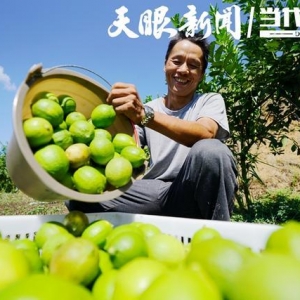 增產(chǎn)業(yè)活力 強“造血”能力 山海協(xié)作以產(chǎn)業(yè)興旺助推鄉(xiāng)村振興 ...