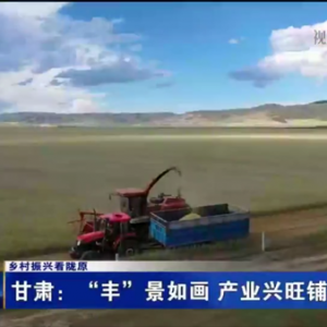 甘肅：“豐”景如畫 產(chǎn)業(yè)興旺鋪就致富路