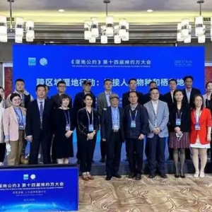 《濕地公約》第十四屆締約方大會(huì)召開，知名企業(yè)分享濕地保護(hù)成效 ...