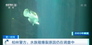 世界最大獨(dú)立圓柱水族箱爆裂！德媒：或由于“材料疲勞”導(dǎo)致 ...