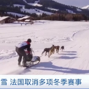 暖冬少雪，法國取消多項冬季賽事，多座滑雪場歇業(yè)