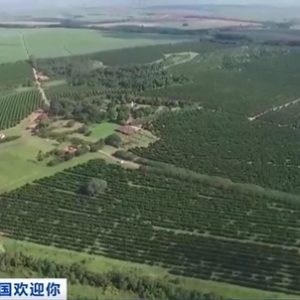 中國歡迎你丨“我們的水果能很快賣給中國！”巴西水果商：期待擴大對華出口貿(mào)易 ...