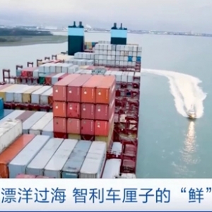 智利車?yán)遄訐尅磅r”到上海！記者揭秘：一顆車?yán)遄拥穆贸? class=