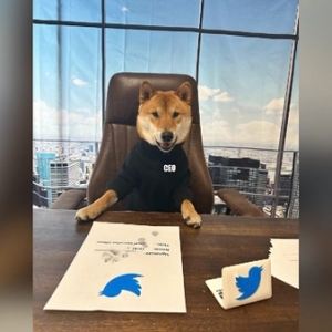 真要退位？馬斯克稱今年推特CEO將換人