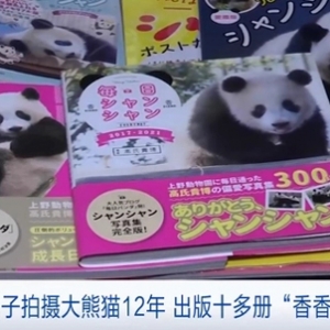大熊貓“香香”啟程回國！日本專家：“香香”至少帶來27億元經(jīng)濟(jì)效應(yīng) ...