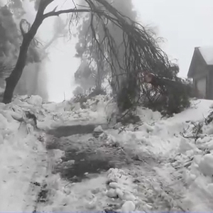 美國(guó)加州積雪嚴(yán)重！部分居民被困近兩周，生活物資所剩無幾 ...
