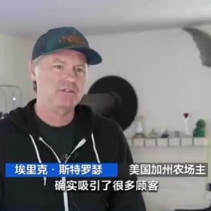 美國(guó)流行“租母雞”！租賃套餐“月租”超千元！都包含啥？ ...