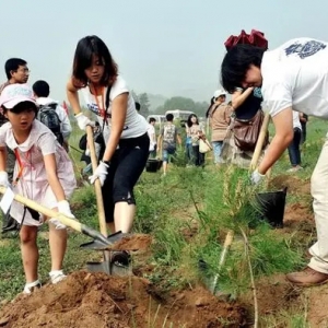 公報：2022年全國林草產業(yè)總產值達8.37萬億