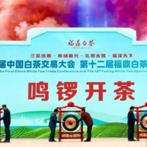 兩岸茶商齊聚“中國白茶之鄉(xiāng)” 共享白茶發(fā)展機遇  播報文章 ...