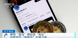 推特“藍(lán)鳥”圖標(biāo)變“狗頭”！推動(dòng)加密貨幣“狗狗幣”當(dāng)天跳漲超25% ...