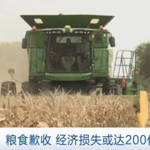 阿根廷遭遇歷史性干旱，糧食歉收或致經(jīng)濟(jì)損失200億美元