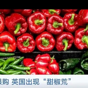 新一輪“蔬菜荒”？英國(guó)甜椒短缺，部分超市實(shí)行限購(gòu)措施