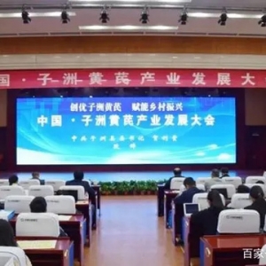 2021中國·子洲黃芪產(chǎn)業(yè)發(fā)展大會在子洲召開
