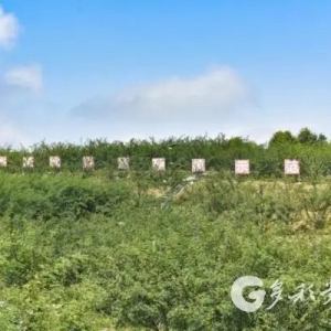 「融媒體中心新聞播報(bào)」新蒲新區(qū)：讓“沉睡”的土地“活”起來
