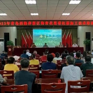 新突破！西海岸新區(qū)茶產(chǎn)業(yè)又一高端風(fēng)味產(chǎn)品研發(fā)成功