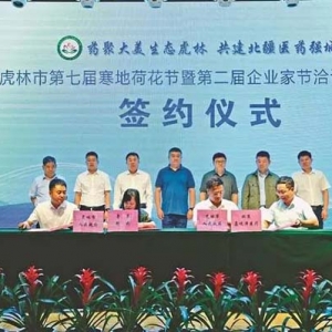 展示親商形象 壯大醫(yī)藥產(chǎn)業(yè) 推介旅游資源 虎林荷花節(jié)碩果沉甸甸