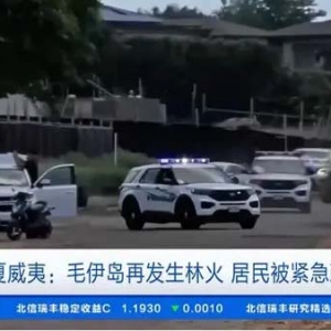 美國夏威夷毛伊島再次發(fā)生林火 居民被緊急疏散