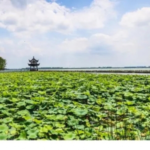 包亞明｜如何建設(shè)好示范區(qū)生態(tài)文明“試驗(yàn)田”“樣板間”“新標(biāo)桿”