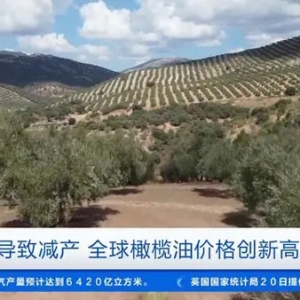價格飆升至8900美元/噸！干旱致減產(chǎn)，全球橄欖油價格創(chuàng)新高