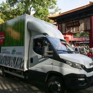 大熊貓“梵星”啟程回國(guó)，荷蘭民眾不舍送別！父母繼續(xù)旅居