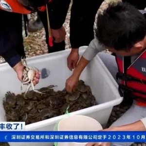 產(chǎn)值有望突破5億元！江西進(jìn)賢32萬(wàn)畝河蟹迎來(lái)捕撈季