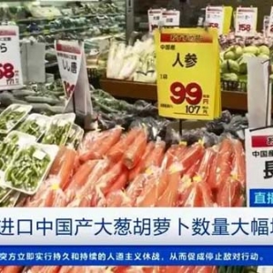大增超200%！日本進(jìn)口中國(guó)產(chǎn)蔬菜數(shù)量暴增，原因幾何？
