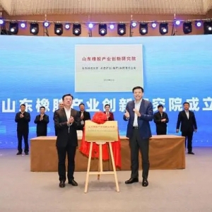 山東橡膠產(chǎn)業(yè)創(chuàng)新研究院揭牌 青島科技大學與棗莊簽約1.1億元重點項目