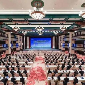 溫州灣新區(qū)新能源產(chǎn)業(yè)如何揚帆起航？這個大會釋放信號