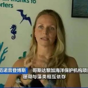 海水升溫加劇珊瑚白化！哥斯達(dá)黎加出現(xiàn)嚴(yán)重生態(tài)危機(jī)