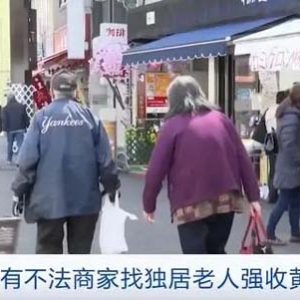1噸舊手機(jī)含金量達(dá)280克！日本金價(jià)連創(chuàng)新高，帶熱廢舊家電回收行業(yè)