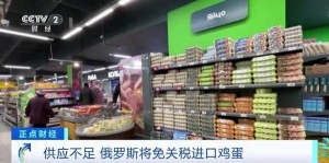 緩解供應(yīng)不足、抑制價格上漲！俄羅斯將免關(guān)稅進(jìn)口雞蛋