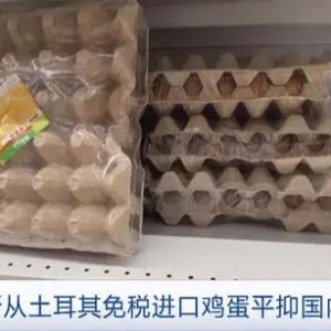 蛋價飆升！俄羅斯：將從土耳其免稅進(jìn)口雞蛋12億枚