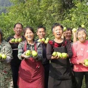 合川官渡鎮(zhèn)：選好富民產(chǎn)業(yè) 聚力“一村一品”
