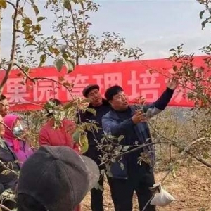 “棘小白”，與甘肅漳縣農(nóng)民攜手，實現(xiàn)農(nóng)業(yè)產(chǎn)業(yè)升級！