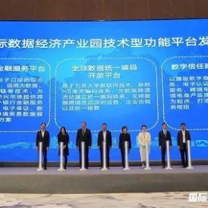 建設(shè)跨境數(shù)據(jù)流通高地 上海數(shù)據(jù)集團(tuán)打造一批國際數(shù)據(jù)功能平臺(tái)