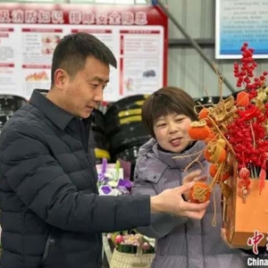 蘭州新區(qū)秦川打破“村界”創(chuàng)收 產(chǎn)業(yè)聯(lián)盟誕生“百萬村”