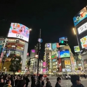 日本看春晚、馬代船宿、非洲追“五霸”：年輕人的旅行過年，挺好