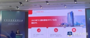 TCL科技首席運營官王成：整體海外收入已接近一半