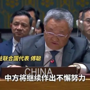 美一票否決巴勒斯坦“入聯(lián)”申請(qǐng) 中方表示對(duì)美國(guó)的決定十分失望