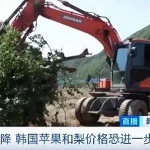 受災(zāi)面積超20公頃！韓國果樹火疫病快速蔓延！蘋果、梨價格暴漲→
