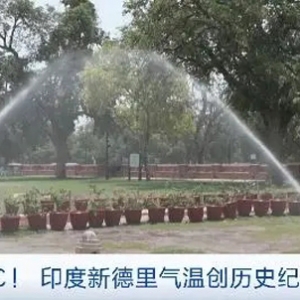 52.3℃！高溫紅色預(yù)警！印度新德里氣溫創(chuàng)歷史紀(jì)錄