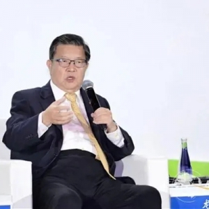龍永圖談中國發(fā)展新能源產(chǎn)業(yè)：助力高質(zhì)量發(fā)展提升國際形象