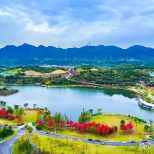 打造創(chuàng)新“頂流力量” 明月湖提升產(chǎn)業(yè)創(chuàng)新“源頭之力”