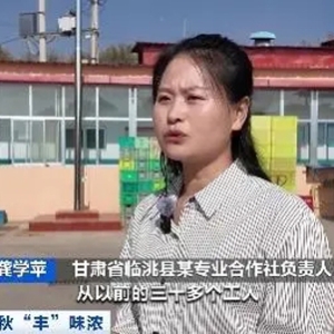 甘肅臨洮萬畝百合豐收，年加工能力達5000噸