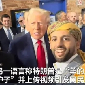 美國(guó)一也門裔演員向特朗普表達(dá)支持后稱特朗普“驢子”