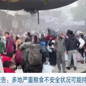 聯(lián)合國(guó)發(fā)布最新報(bào)告！多地嚴(yán)重糧食不安全狀況或持續(xù)惡化