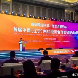 全省唯一電商代表！西豐鹿鄉(xiāng)綠港電商直播基地向全省分享“西豐電商模式”