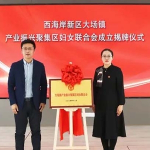 新區(qū)首個鎮(zhèn)街產(chǎn)業(yè)振興集聚區(qū)婦聯(lián)組織在大場鎮(zhèn)成立