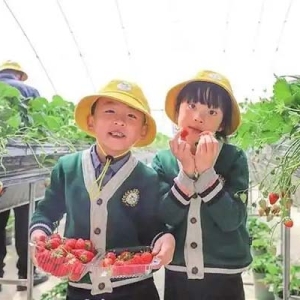 蘭州新區(qū)秦川園區(qū)：冬日采摘樂